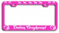 Italian Greyhound Dogs Pets Pn Metal License Plate Frame Tag Holder K39 