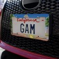 The Wizard Of Oz Ruby Slippers Logo License Plate Tag Frame
