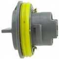 Airtex 1p1332 Tail Light Socket