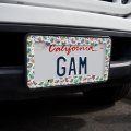 Rainbow Rainforest Frogs Sticky Fingers Pattern License Plate Tag Frame