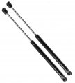 Qty 2 Strongarm 4650 Rear Window Glass Lift Supports 