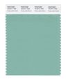 Pantone Smart 15-5711x Color Swatch Card Dusty Jade Green 