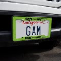 Beetlejuice Ghost With The Most License Plate Tag Frame