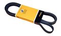 Contitech Pk060837 Serpentine Belt 