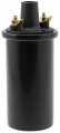 Wells C07386 Ignition Coil 