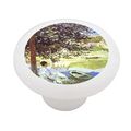 Gotham Decor The River By Monet Ceramic Drawer Knob 