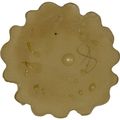 Ekena Millwork Ros02x02bl 2 3 4-inch Od X 8-inch P Blackthorne Rosette