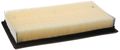Motorcraft Fa1884 Air Filter 