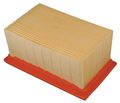 Hiflofiltro Hfa7914 Premium Oe Replacement Air Filter 