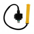 Wflnhb Ignition Coil And Spark Plug Replacement For Honda Foreman Rubicon 500 Trx500fa Trx500fpa Trx500fga 2005 2006 2007 2008