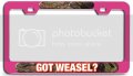 Got Weasel Hunting Pn 3d Metal License Plate Frame Auto Suv Truck Tag Holder M64 