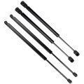 Hood And Liftgate Lift Support Struts Gas Springs Ford Explorer 2002 2003 2004 2005 Set Of Shocks For 0l 4 6l Models 