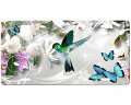 Hummingbird License Plate 