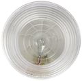 Truck-lite 40204 Back-up Lamp 