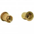 Hifrom 50pcs Rivet Nut Zinc Plated Carbon Steel Insert 3 8 -16 Flat Head Threaded Nuts Knurled Body