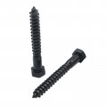 10 Piece 3 8 In X Hex Head Lag Screws Black Oxide Stainless Steel Heavy Duty Bolts With Washers For Wood And Deck Building 