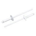 50pcs 1 8 X1 2 Large Flange Blind Rivets Zinc-plated Carbon Steel Grip And Mandrel Cap White 
