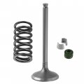 Caltric Exhaust Valve Kit Compatible With Yamaha Yfz450x 2010-2011 5ta-12121-00-00 1aa-12118-00-00