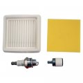 Echo 90192y Pb-2620 Recommended Leaf Blower Maintenance Tune Up Kit 
