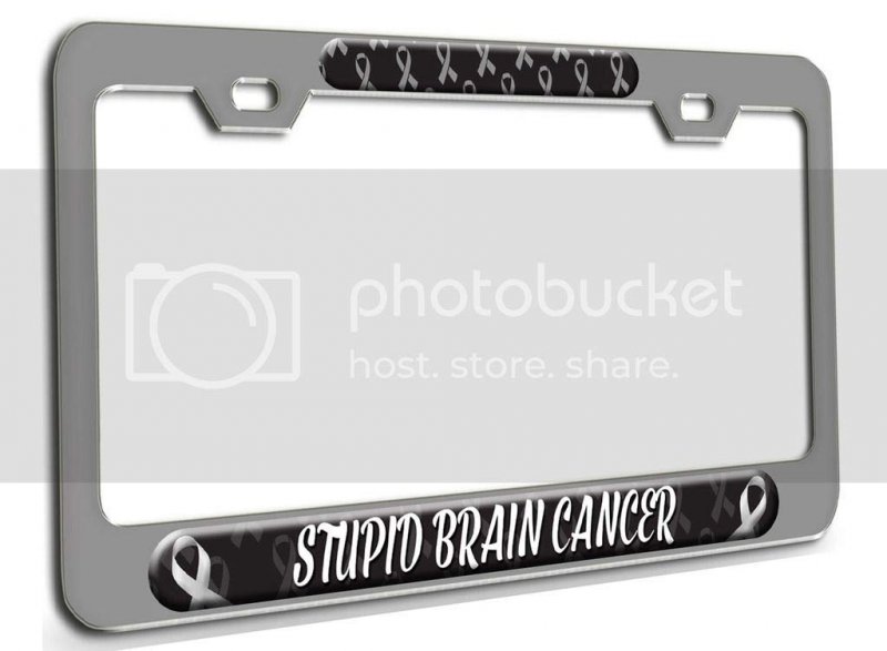 Stupid Brain Cancer Awareness Ch 3d Metal License Plate Frame Auto Suv Truck Tag Holder R51