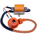 Aftermarket Ignition Coil 12v Chinese 50cc-125cc Atv Moped Pit Bike 
