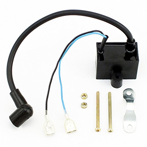 Cdi Ignition Magneto Coil And Spark Plug Kit For 49cc 50cc 60cc 66cc 70cc 80cc 2 Stroke Engine Motorized Bicycle Bike Z9042-pus