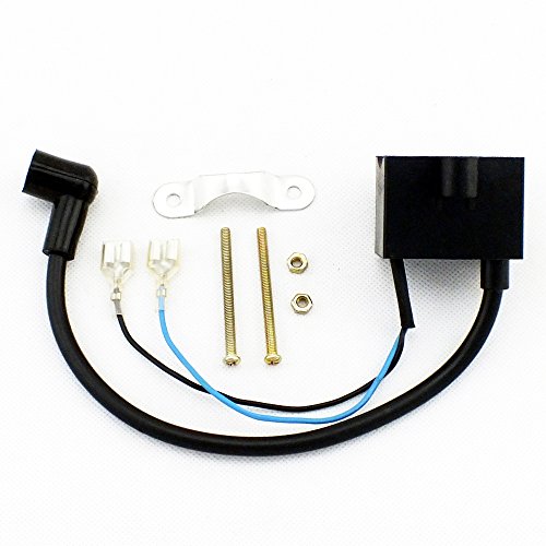 Cdi Ignition Magneto Coil And Spark Plug Kit For 49cc 50cc 60cc 66cc 70cc 80cc 2 Stroke Engine Motorized Bicycle Bike Z9042-pus