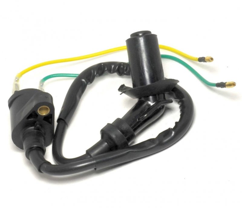 Whatapart Ignition Coil For Honda Ruckus Zoomer Nps50 Nps 50 Scooter Trx 300 1988-2000 Trx200d 1991-1997