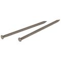 461525 Brown Panel Nails 1 In 6 Oz Finishing Nail Kit 