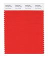 Pantone Smart 18-1445x Color Swatch Card Spicy Orange 