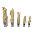 10 Pc 2 4 Flute 1 3 Hss End Mill Tin Coated 