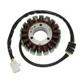 Electrosport Esg166 Stator Kawasaki 300 