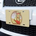 Graphics More Boho Chic Bohemian Fashionable Hippie Woman In Desert Novelty Metal Vanity Tag License Plate