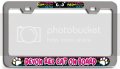 Devon Rex Cat On Board 3d Metal License Plate Frame Universal Fit For Auto Suv And Truck Tag Holder 12 X 6 In Heavy Duty Steel