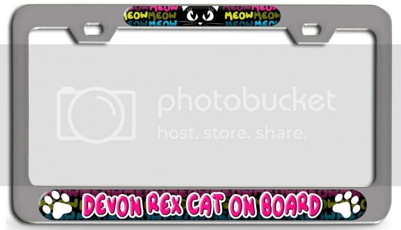 Devon Rex Cat On Board 3d Metal License Plate Frame Universal Fit For Auto Suv And Truck Tag Holder 12 X 6 In Heavy Duty Steel