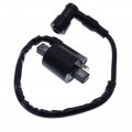 Holdwell Racing Ignition Coil 750169 Compatible With Yamaha Warrior 350 Yfm350 1989-2004 Atv