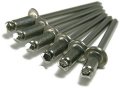 Stainless Steel Domed Pop Rivet Fastener Assortment Kit 601 Piece 304 Grade 4 To 6 