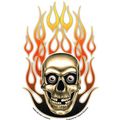 Mikes Flaming Skull 