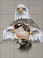 Artwork On Tile Ceramic Mural Backsplash Eagles Rule By Verdayle Forget Kitchen Shower Wall 12 75 X 17 4 25 Tiles 