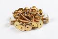 Power Point Plus Pro Studs 1 375 24 Pk 