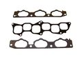 Dnj Manifold Gaskets Intake Ig174 For 06-11 Hyundai Kia V6 3l 3 8l Dohc 24v 