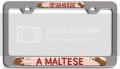 Keep Calm And Rescue A Maltese Dogs Pets Ch 3d Metal License Plate Frame Auto Suv Truck Tag Holder E58 