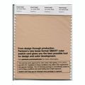 Pantone Smart Swatch 14-1315 Hazelnut 