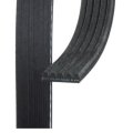 Standard V Ribbed Serpentine Belt For Fiat 500 2017 Black 0 667 In Top Width 5 Ribs 1 228 Mm Outside Circumference