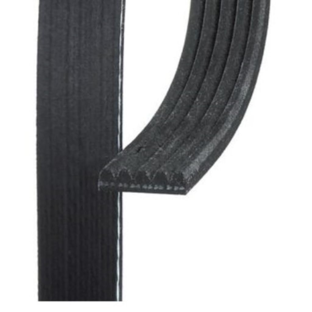 Standard V Ribbed Serpentine Belt For Fiat 500 2017 Black 0 667 In Top Width 5 Ribs 1 228 Mm Outside Circumference