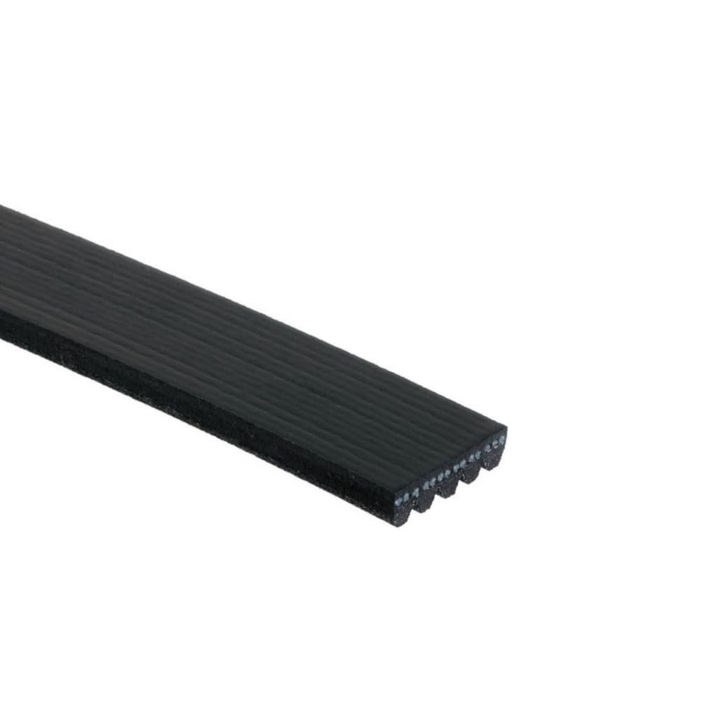 Standard V Ribbed Serpentine Belt For Fiat 500 2017 Black 0 667 In Top Width 5 Ribs 1 228 Mm Outside Circumference