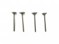 New Cylinder Head Intake Exhaust Valve Kit 1996-2014 For Honda Sportrax Trx400ex Trx400x Xr400r