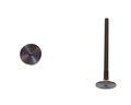 Dnj Engine Components Ev4131 Exhaust Valve 