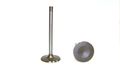 Dnj Engine Components Iv3111 Intake Valve 