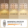 Axnau Plug In Pendant Light Hanging With Cord Dimmable Switch Lamp 15 Ft Fixture For Bedroom Living Room Kitchen Island Bulb